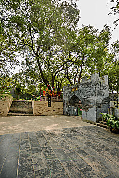 xo so soc trang hom nay
